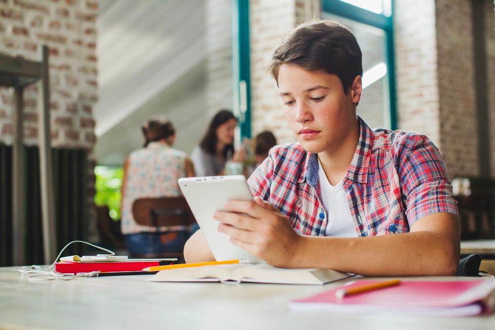 Honors and Advanced Placement Courses for Online High School Students