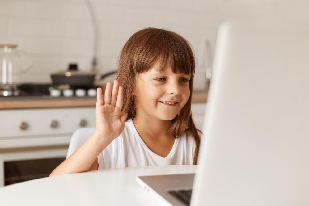 Online Student Socialization