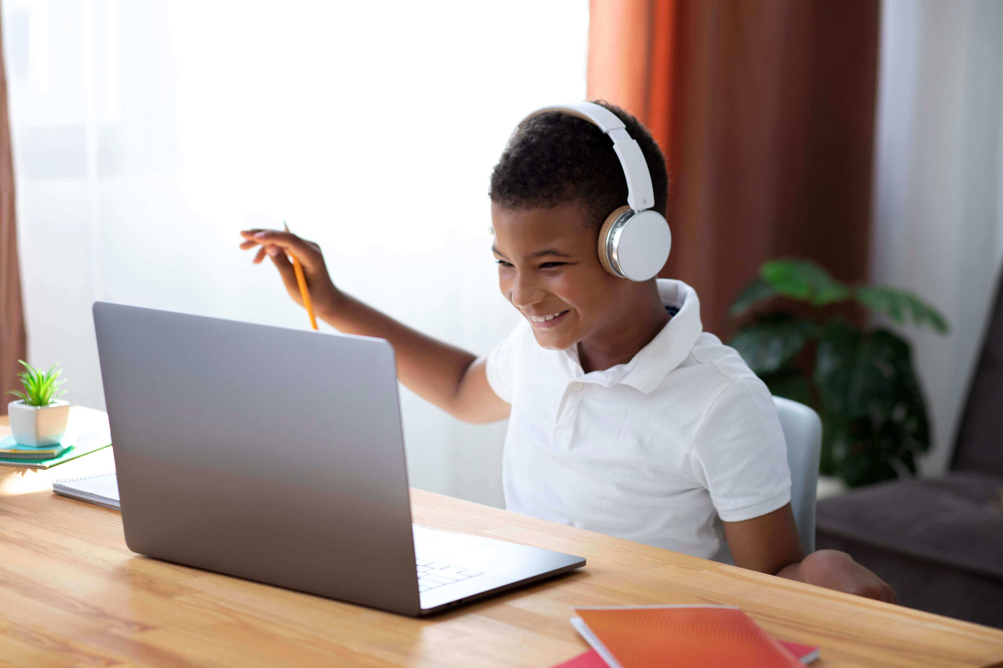 Flexible Online Elementary Programs